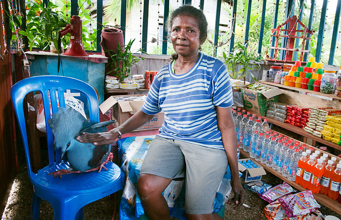 Ibu Nene Seret, head of the Warsambin women's cooperative with her pet Western Crowned Pigeon in the cooperative store at Warsambin, Pulau Waigeo, Raja Ampat