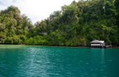 The caves and jungles of northern Gam lie behind Warikaf Homestay