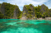 Coral and clear water of the Piaynemo karst island seascape