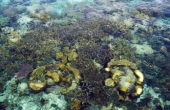 June 2026<br /><i>Photo: Andhika/PERJAMPAT</i>