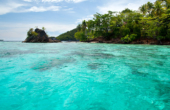 Coral gardens at the eastern end of Pulau Friwen