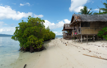 Manta Homestay, Pulau Arborek, Raja Ampat