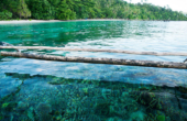 Rich coral reef at front of Yenanas Paradise Homestay