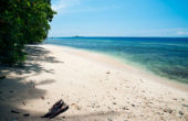 Beach bungalow views