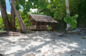  2 room terrace bungalow