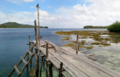 Saudori Homestay, Pulau Manyaifun, West Waigeo, Raja Ampat