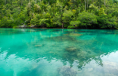 Coral outcrops in the clear inlet waters