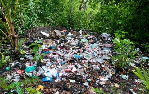 Don't rubbish Raja Ampat