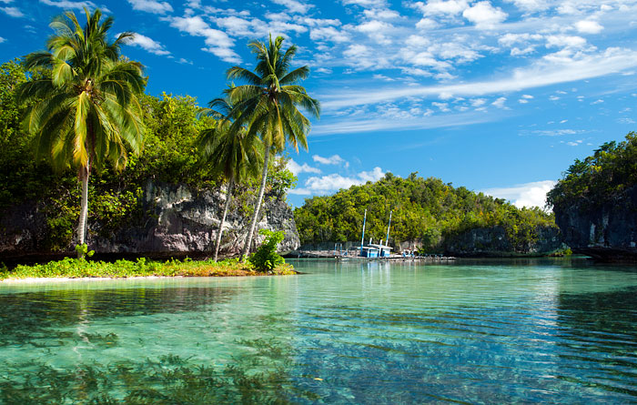  Raja  Ampat  conservation programs protecting a unique 