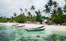 Sauwandarek