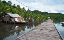 Waifoi