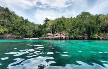 Yengkawe Birdwatching Homestay, Pulau Waigeo, Raja Ampat