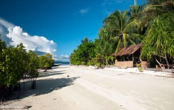 Indip Homestay