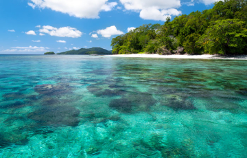 Black Swiss Homestay, Pulau Birie, Batanta, Raja Ampat