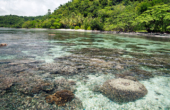 Yenaduak house reef views...