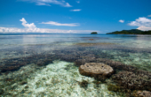 Yenaduak Homestay, Pulau Birie, Batanta, Raja Ampat