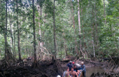 Raja Ampat Adventures' tender negotiating mangrove channels<br /><i>Photo courtesy Deni Malingkas</i>