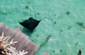 Efenli Arnes Homestay, Pulau Gam, Raja Ampat