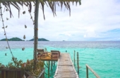 June 2026<br /><i>Photo: Andhika/PERJAMPAT</i>