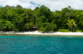 Yenkarom Homestay: Nestled in deep shade on the edge of a perfect beach