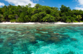 Glass-like ocean and coral reef at Yenkarom Homestay's door