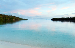 Sea Fans Homestay