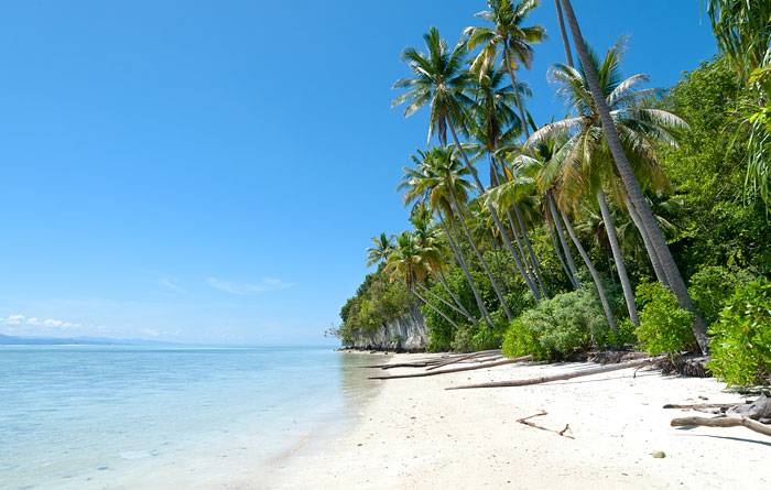 Intum Homestay: Raja Ampat accommodation at Kri Island