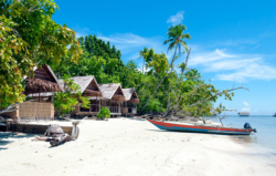 Brar Homestay