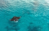 August 2025<br /><i>Photo courtesy Raja Ampat Sunrise Homestay</i>