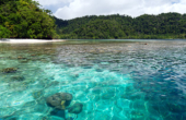 Biryei Homestay, Pulau Birie, Batanta, Raja Ampat