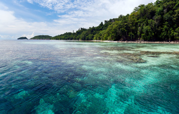 Biryei Homestay, Pulau Birie, Batanta, Raja Ampat