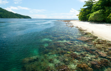 Dayan Homestay, Pulau Dayan, Batanta, Raja Ampat