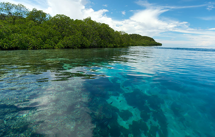 Ken's Homestay, Sawinggrai, Pulau Gam, Raja Ampat
