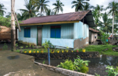 A typical Waifoi home