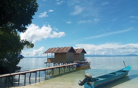 Arborek Dive Homestay, Pulau Arborek, Raja Ampat