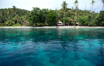 Nemo Homestay, Pulau Manyaifun, Raja Ampat