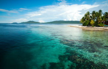 Pulau Arborek, Raja Ampat