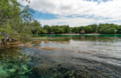 Rufas Homestay, Pulau Rufas, Pam Islands, Raja Ampat