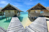 September 2023<br /><i>Photo courtesy Nus Raja Ampat Bungalows</i>