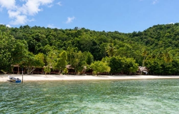 Turtle Homestay, Pulau Kri, Raja Ampat
