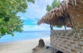 January 2023<br /><i>Photo courtesy Jou Suba Homestay</i>