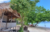 January 2023<br /><i>Photo courtesy Jou Suba Homestay</i>