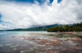 Rain falls in the highlands while the sun shines on healthy coral exposed at low tide at Yennyar.