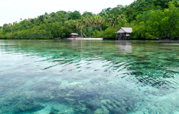 Binn Betew Homestay, Kapisawar, Pulau Gam, Raja Ampat