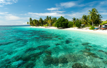 Saukabu Homestay, Pulau Pam, Raja Ampat