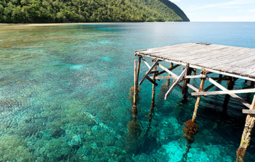 Napoleon Sawandarek Homestay, Sauwandarek, Pulau Mansuar, Raja Ampat