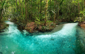 Kali Biru, Alvano Homestay, Mumes, Waigeo, Raja Ampat