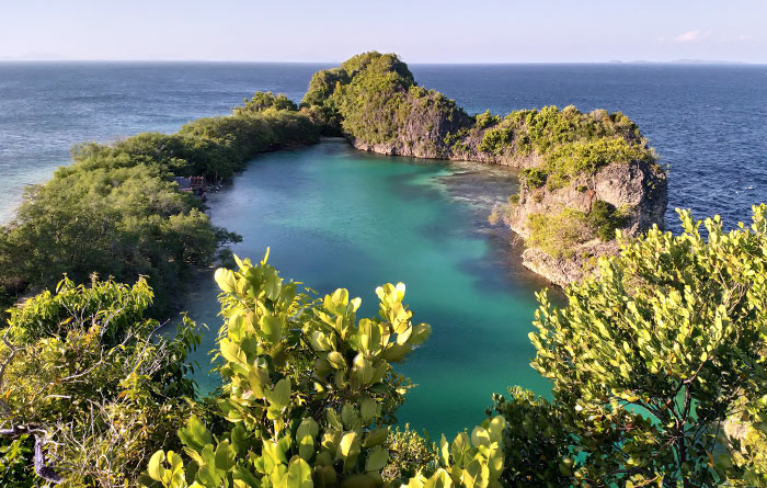 Lagoon Homestay, Batu Rufas, Pam Islands, Raja Ampat