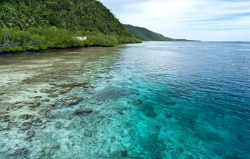 Aimando Homestay, Pulau Mansuar, Raja Ampat