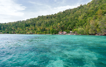 Kotare Homestay, Pulau Kri, Raja Ampat